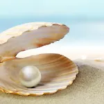 Perle 아파트 잔드보르트