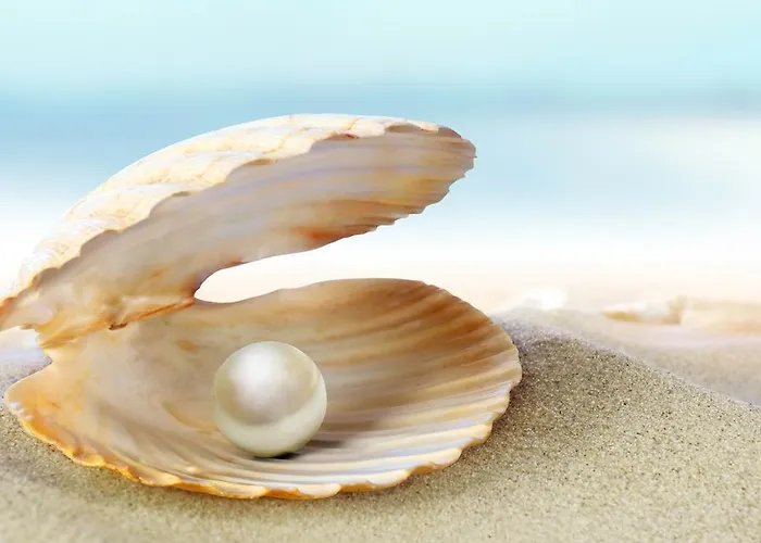 Perle 아파트 잔드보르트